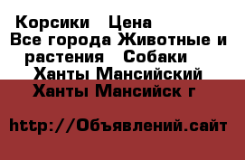 Корсики › Цена ­ 15 000 - Все города Животные и растения » Собаки   . Ханты-Мансийский,Ханты-Мансийск г.